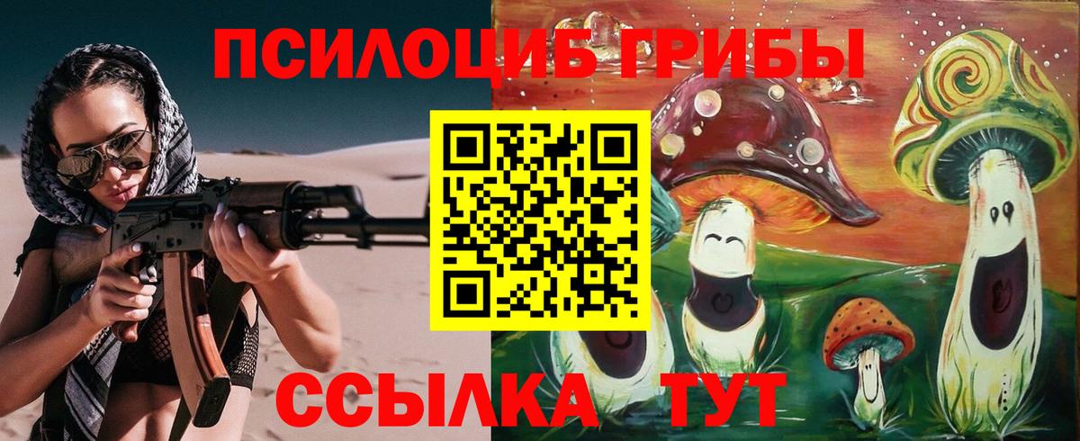 где найти наркотики  Вход с VPN  Ипатово  Галлюциногенные грибы Magic Shrooms  Псилоцибиновые грибы GOLDEN TEACHER 