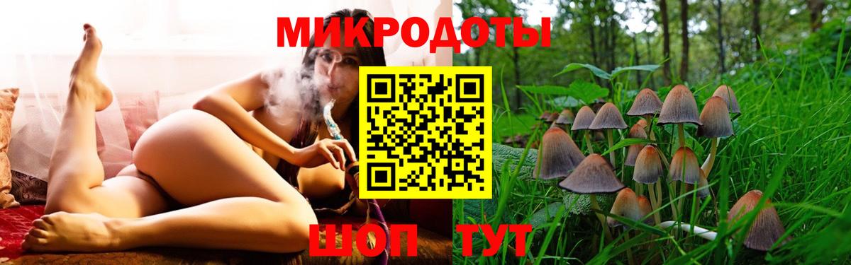 Галлюциногенные грибы Psilocybe Ипатово